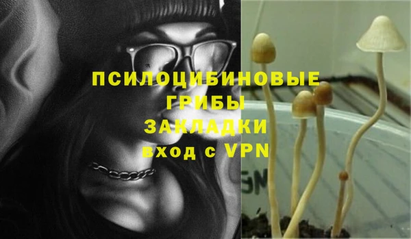 не бодяженный Алзамай