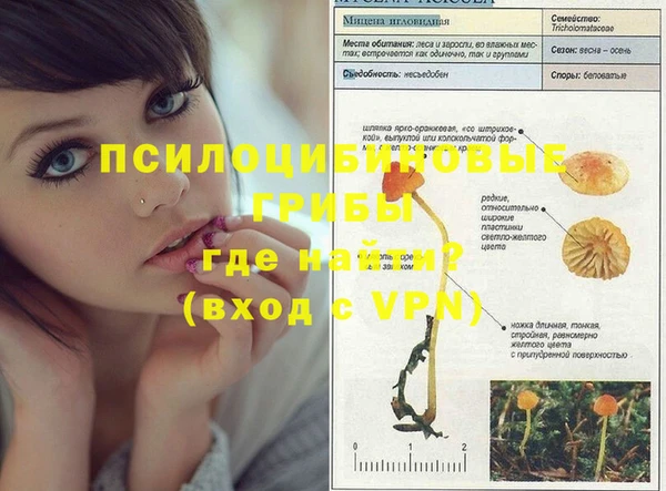 ПСИЛОЦИБИНОВЫЕ ГРИБЫ Алексеевка